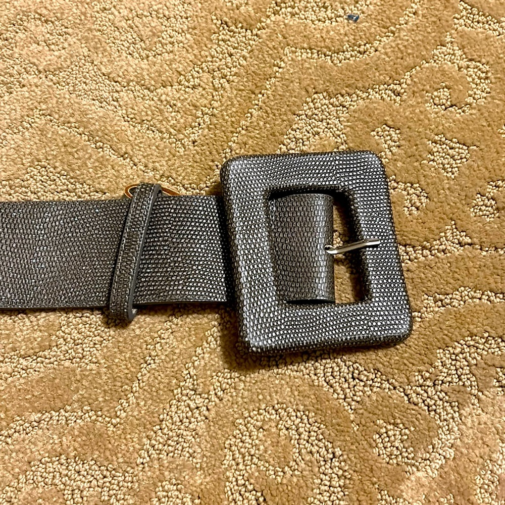 Brown sparkly gorgeous Alice & Olivia belt